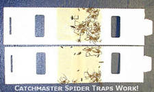 Spider Traps work